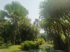 -中国科学院西双版纳热带植物园