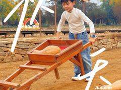 -武汉紫薇都市田园