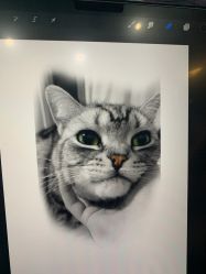 -飛凡TATTOO纹身•原创