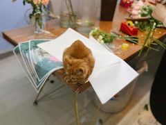 -花心思鲜花店(武昌徐东店)