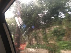 -深圳大学城（南区）体育中心-游泳馆