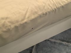 -御林汤泉