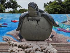 -广东惠东海龟国家级自然保护区