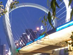 -长白岛森林公园