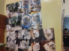 -H立方实景剧情密室(天河旗舰店)