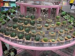 -KKV(深圳宏发大仟里店)