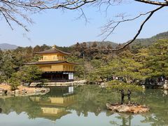 -豆政(金閣寺境内売店)