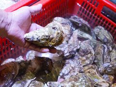 -巽寮印象美食部落餐厅·海鲜·地方特色菜(惠州体验店)