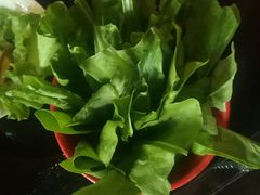 -陈阿婆重庆绿色鱼火锅