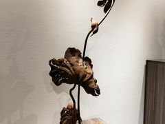 -四川宋瓷博物馆