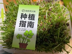 -海底捞火锅(漕宝路店)