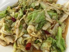 酱爆洋白菜-渔民船说·北塘海鲜·天津菜·海肠捞饭(北塘古镇店)
