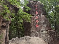 -汤旺河林海奇石景区