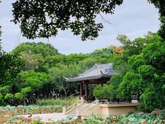 -江心屿景区
