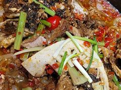 -老板恋上鱼(恒隆广场店)