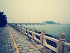 -港珠澳大桥码头