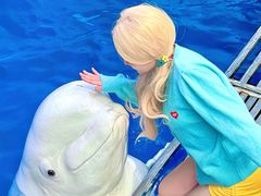 -秦皇岛乐岛海洋王国