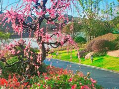 -湘湖逍遥庄园·水漾中餐厅