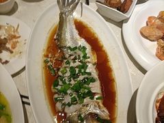 -金美华轩(东方路齐鲁店)