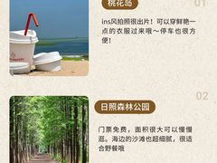 -日照海滨国家森林公园