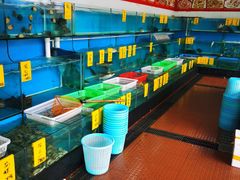水产区-崖口红树林海鲜餐厅