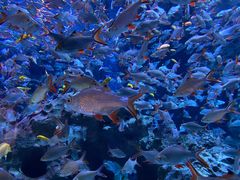 -成都浩海立方海洋公园