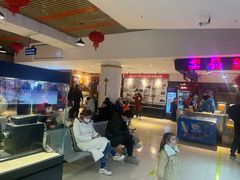 -华美国际影城(旧宫永辉店)