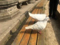 -御苑宾馆-中餐厅