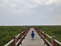 -北海金海湾红树林生态旅游区