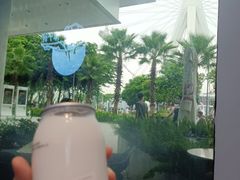 -蔻蔻椰·鲜萃椰子水(欢乐港湾店)