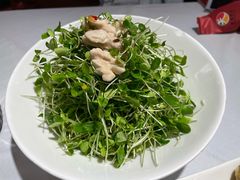 香椿苗拌桃仁-峨嵋酒家总店(车公庄店)