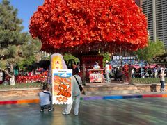 -沈阳方特欢乐世界