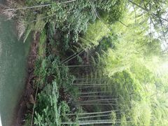 android_upload_pic-藏龙百瀑风景区