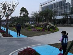 -三圣花乡旅游区