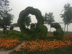 -武清南湖绿博园