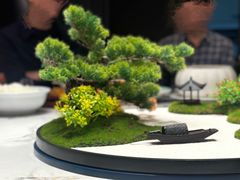 -松雅轩(大源店)