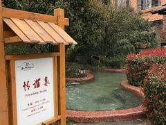 -咸宁万豪温泉谷度假区