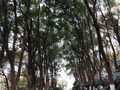 -上海市保健医疗中心(华东疗养院)