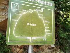 -大岭沟猕猴桃谷风景区