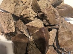 -蒙艾里民族传统菜蒙餐