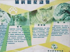 -青藏高原野生动物园