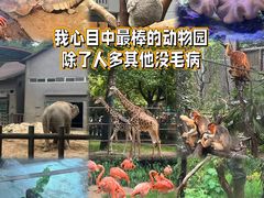 -红山森林动物园