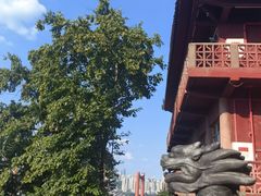 -龙泉洞(沙坪坝区)
