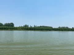 -溱湖国家湿地公园