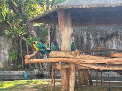 -清迈夜间动物园