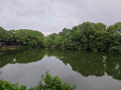 -张鸟园农家乐(张鸟园店)