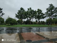 -大宁郁金香公园-停车场