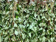 -东天目山风景区