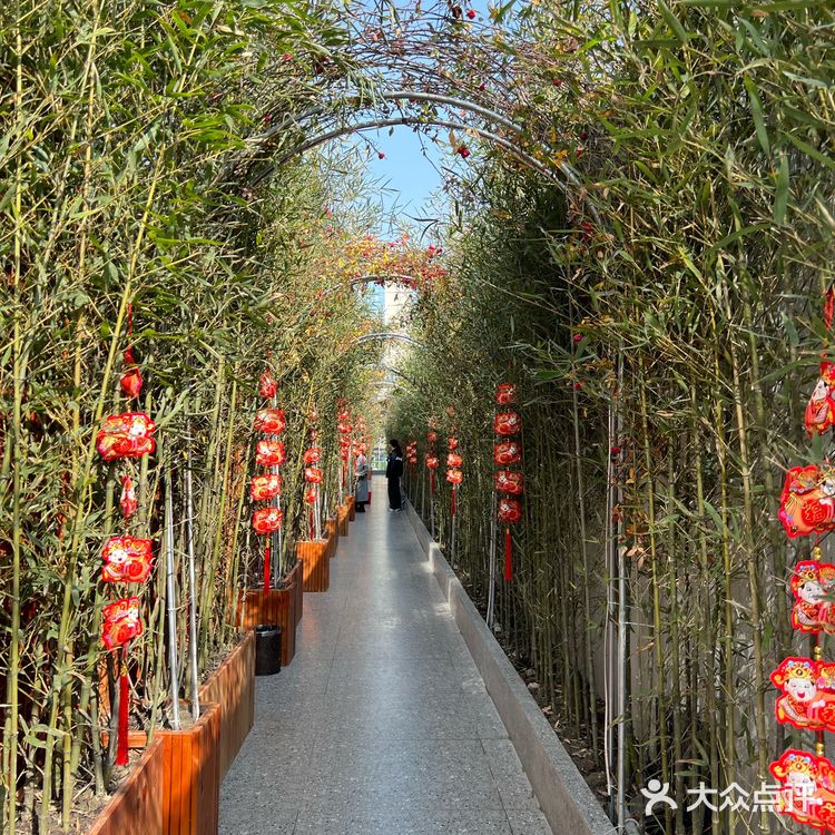 成都新开的!被全家人夸爆的团年聚餐地🔥