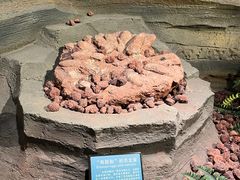 -辽宁古生物博物馆